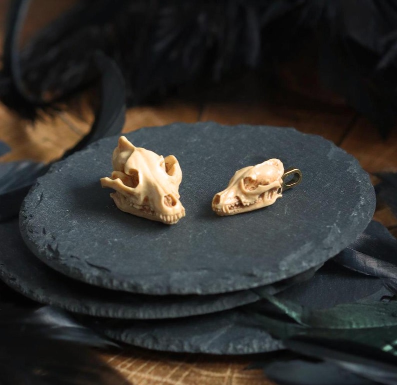 May include: Two small, detailed animal skulls made of bone-colored resin. The skulls are sitting on a black slate surface. The larger skull has a more defined jawline and is facing forward. The smaller skull is facing slightly to the right and has a more rounded jawline.