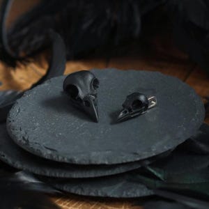 Pode incluir: Dois pingentes de cr&acirc;nio de p&aacute;ssaro preto sobre uma superf&iacute;cie de ard&oacute;sia preta. Os cr&acirc;nios s&atilde;o detalhados e realistas, com um pequeno la&ccedil;o para prender uma corrente.
