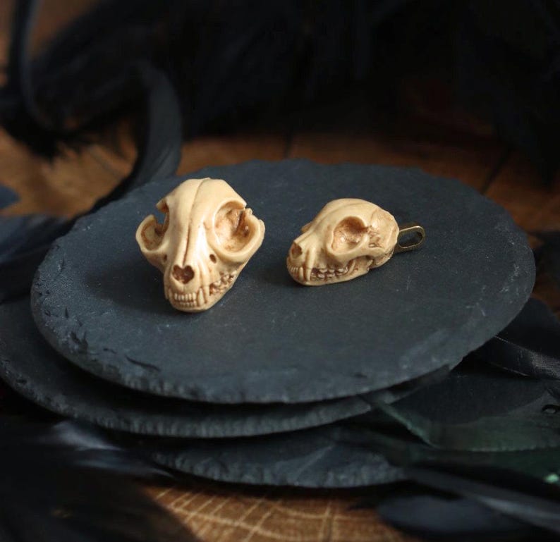 May include: Two small, cream-colored animal skulls on a black slate surface. The larger skull has a more detailed facial structure, while the smaller skull has a more rounded shape.