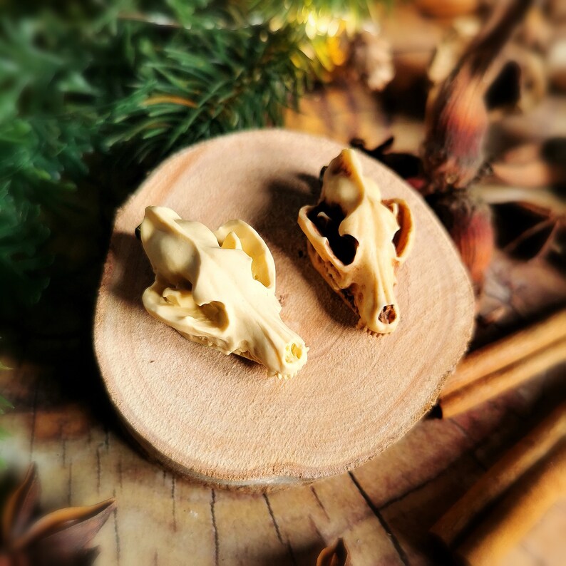 May include: Two small, cream-colored animal skulls on a wooden surface. The skulls are detailed and realistic, with visible teeth and eye sockets.
