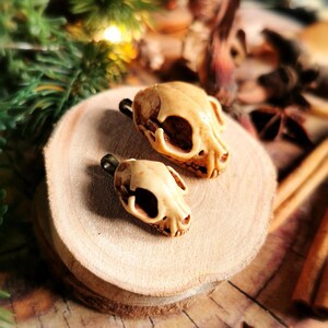 Resin animal skull pendant, raven skull necklace, medieval Easter jewelry, gothic jewelry for Dark Academia outfits, cat skull necklace image 9
