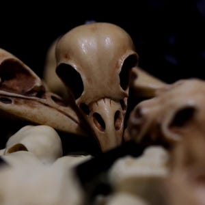 Pode incluir: Uma cole&ccedil;&atilde;o de pequenos cr&acirc;nios de p&aacute;ssaros de cer&acirc;mica branca detalhados. Os cr&acirc;nios est&atilde;o dispostos em uma pilha, com um cr&acirc;nio no centro da imagem.