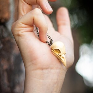 Pode incluir: Um colar com um pingente de cr&acirc;nio de p&aacute;ssaro dourado em uma corrente preta. O pingente &eacute; detalhado e realista.
