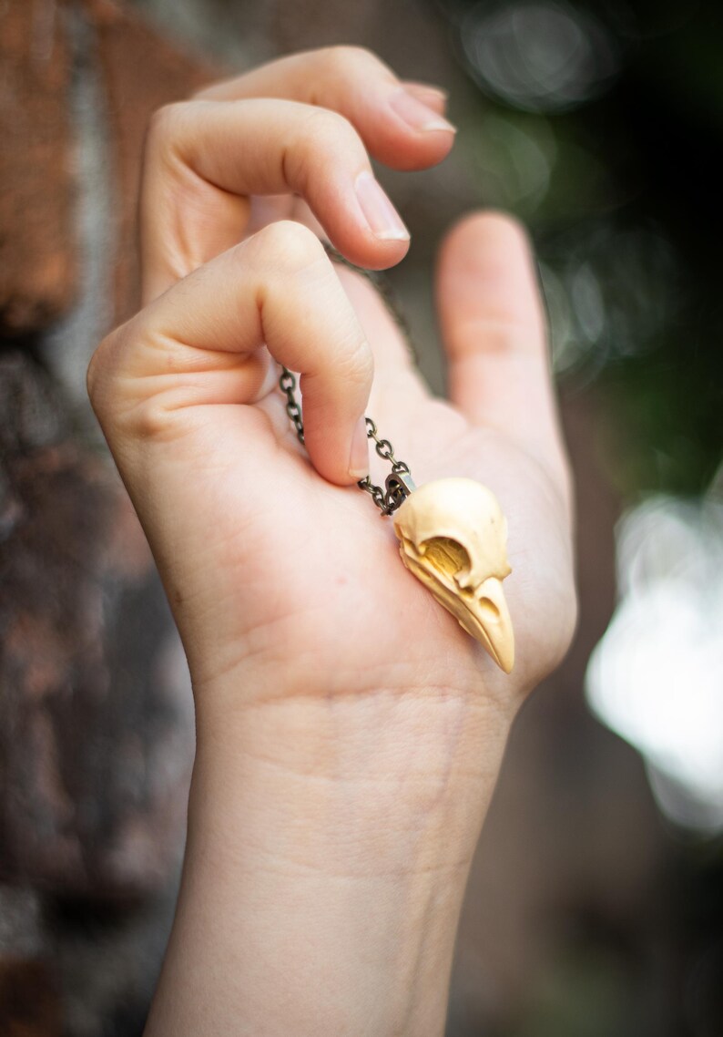 Pode incluir: Um colar com um pingente de cr&acirc;nio de p&aacute;ssaro dourado em uma corrente preta. O pingente &eacute; detalhado e realista.