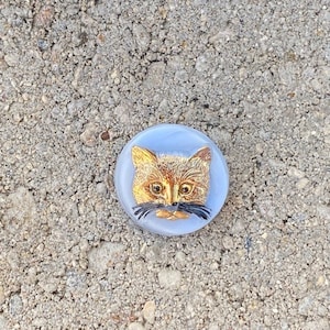 May include: A round, light blue glass button with a gold cat face and black whiskers.