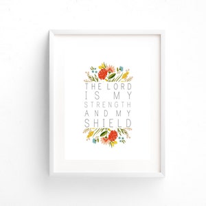 The lord is my shield essay 04 picture