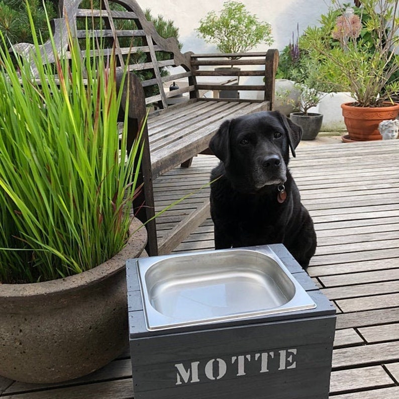 Trinkstation erhöht 25 cm Vintage Trinknapf Hund Etsy