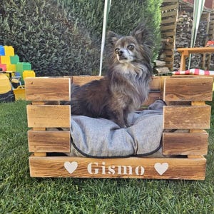 Könnte beinhalten: Ein kleiner Hund mit langem Fell sitzt in einem Hundebett aus Holz. Das Bett ist aus hellbraunem Holz und hat ein graues Kissen. Der Name "Gismo" ist weiß mit Herzsymbolen auf der Vorderseite des Bettes aufgedruckt. Das Bett steht auf einer Wiese.