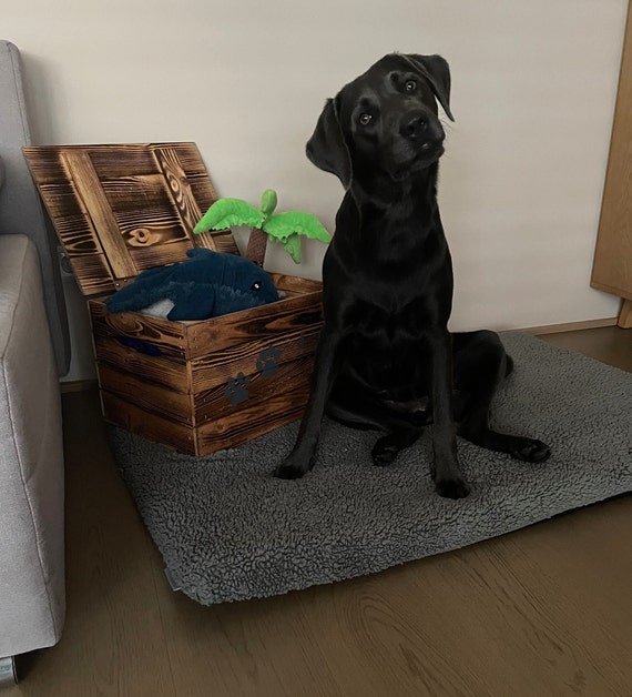 Toy box for dogs personalized with name, storage dog toy memory box  deceased pets, dog box, mourning box