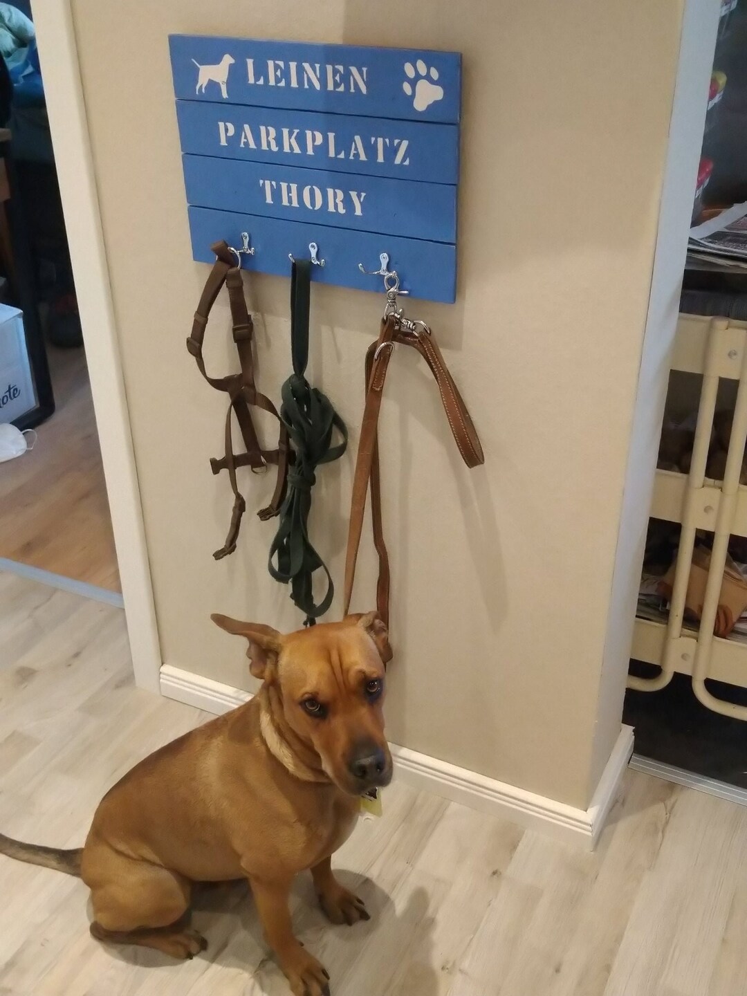 Coat Rack Dogs With Name Leash Parking, Dog Coat Rack, Hook Rail Dog ...