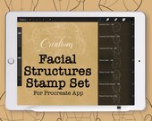 Facial Structure Stamps for Procreate, Digital Art Brushes