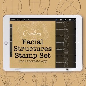 May include: A digital art stamp set for the Procreate app, displayed on a tablet. The screen shows the text "Facial Structures Stamp Set" with diagrams of facial planes and the "DanaKay Creations" logo. A stylus rests on the tablet.