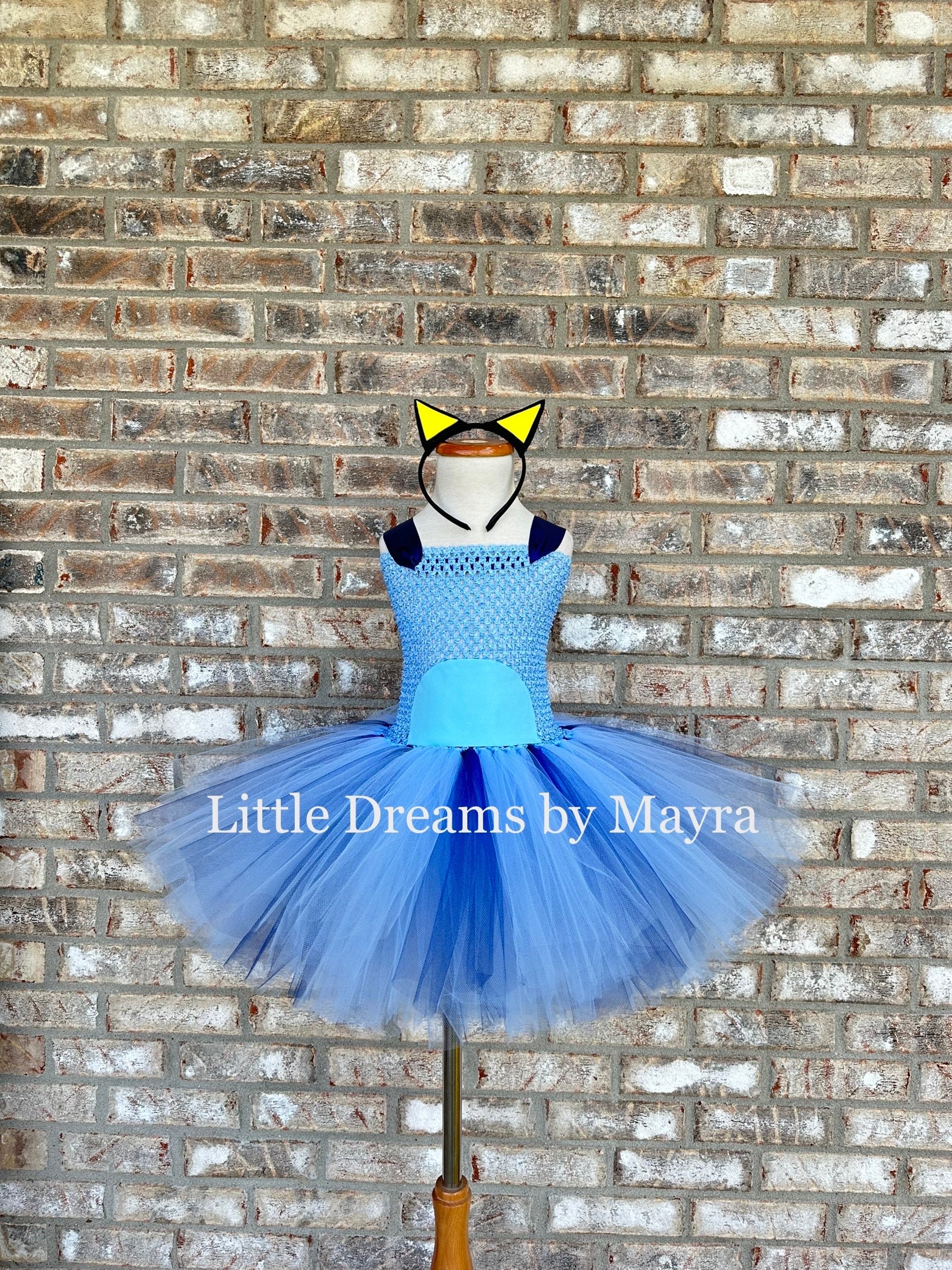Adjustable Ribbon Dress