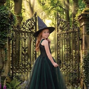 May include: A floor-length dress featuring a dark green tulle skirt and a black textured bodice with green straps, paired with a pointed black witch hat. The text Little Dreams by Mayra is visible in the lower right corner of the image.