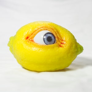 The All Seeing Lemon zdjęcie 10