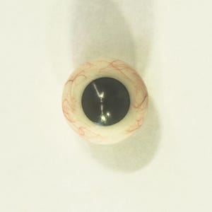 Puede incluir: Un ojo protésico esférico que presenta una pupila negra grande y sólida centrada dentro de una esclerótica blanca. La superficie de la esclerótica está detallada con venas rojas finas y delgadas que se ramifican por el área blanca.