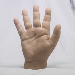 May include: A close-up of a hand with all five fingers extended, palm facing the camera. The hand is light-skinned and appears to be made of a smooth, flesh-like material.