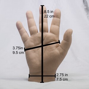 May include: A close-up of a hand with measurements in inches and centimetres. The hand is 8.5 inches (22 cm) tall and 3.75 inches (9.5 cm) wide. The wrist is 2.75 inches (7.5 cm) in circumference.