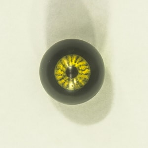 May include: A spherical object resembling an eye with a solid black outer surface and a central iris featuring a textured, mottled yellow and black pattern. The pupil is a small, solid black circle positioned in the centre of the yellow iris.