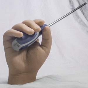 May include: A hand holding a blue and grey screwdriver with a silver shaft.