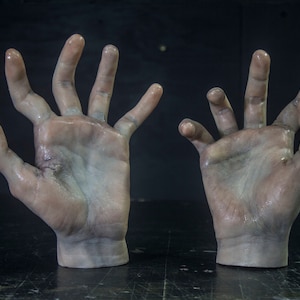 Pose-able Silicone Bruised and Battered Hands - Male Painted - Display Prop Halloween Decoration