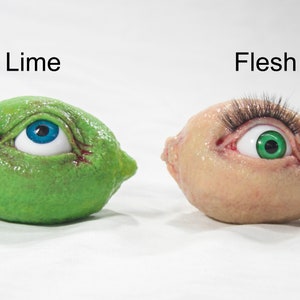 May include: Two limes with eyes, one lime is green with a blue eye and the other lime is flesh colored with a green eye. The limes are labeled "Lime" and "Flesh".