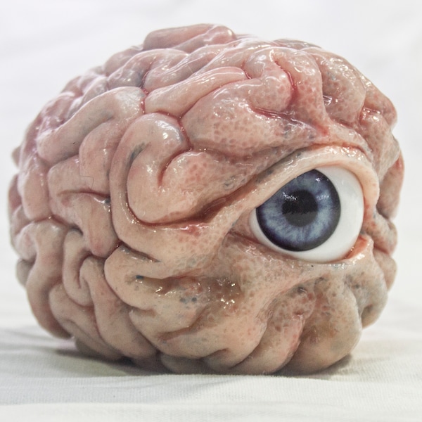 The All Seeing Brain