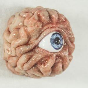 The Wall/Fridge-Mountable Half All Seeing Brain
