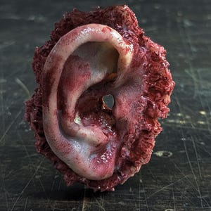 May include: A realistic sculpture of a human ear with a pale, flesh-toned surface, surrounded by a textured, deep red, raw-looking border that mimics torn tissue or organic matter, featuring a central opening within the ear structure.