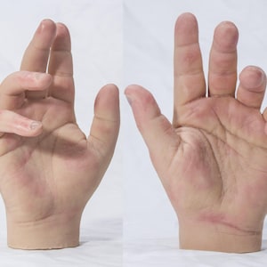 May include: A pair of realistic prosthetic hands made of a light-toned silicone material. The hands feature detailed skin textures, including visible knuckles, palm lines, and fingernails, presented in a neutral, upright, and open-palm position.