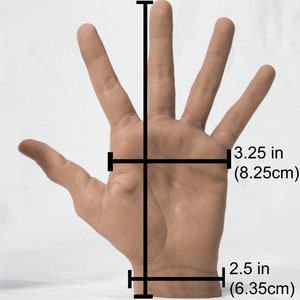 May include: A human hand with black lines indicating measurements. The hand is 8 inches (20cm) long, 3.25 inches (8.25cm) wide, and 2.5 inches (6.35cm) from the base to the thumb.