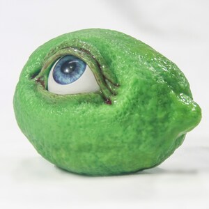 May include: A green lime with a realistic blue eye painted on it. The eye is open and looking to the right. The lime is smooth and has a slightly bumpy texture.