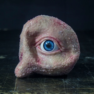 El nódulo ocular