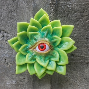 The All Seeing Succulent