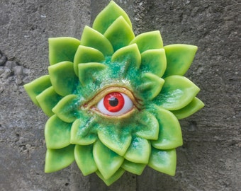 The All Seeing Succulent