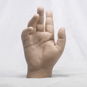 Könnte beinhalten: Nahaufnahme einer Hand mit der Handfläche nach oben, die Finger sind ausgestreckt und leicht gespreizt. Die Hand ist hellhäutig und scheint aus einem glatten, fleischigen Material zu bestehen.