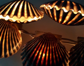 Provincetown Mass. Handmade Authentic Bay Scallop Shell Lights
