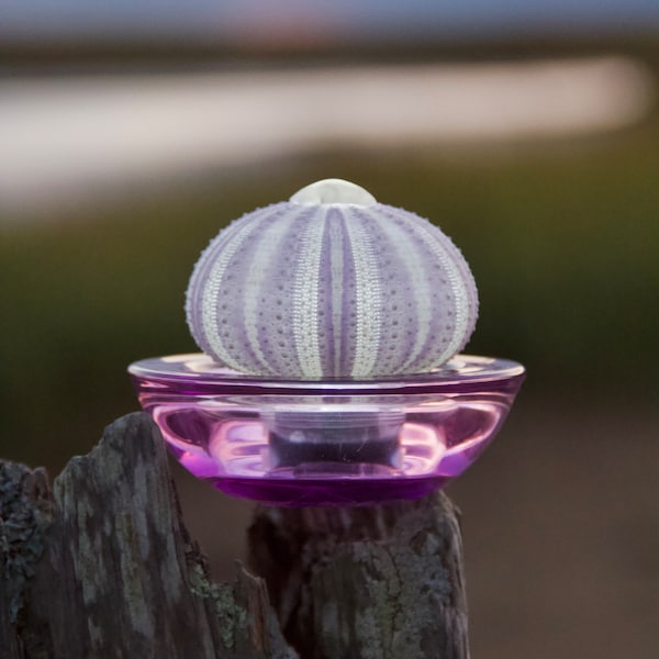 Purple Sea Urchin Night Light with battery operated led lights and matching purple glass votive