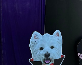 Doggy Dracula, Custom Printed doggy face on Dracula costume.  Doggy costume Prop