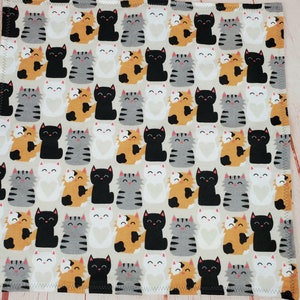 Cat Blanket - Kindle of Kittens Flannel Valentines Blanket