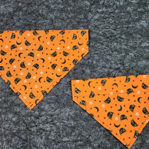 Cat Bandana -Black Cat Purrtergeist Collar Bandana