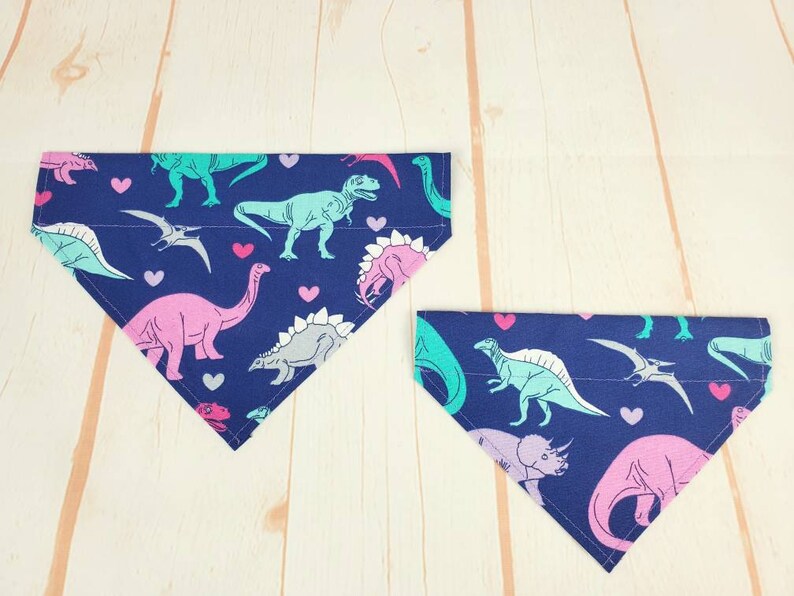 Cat Bandana Dinosaur Party Cat Collar Bandana image 4