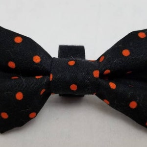 Black with orange- Cat Bow