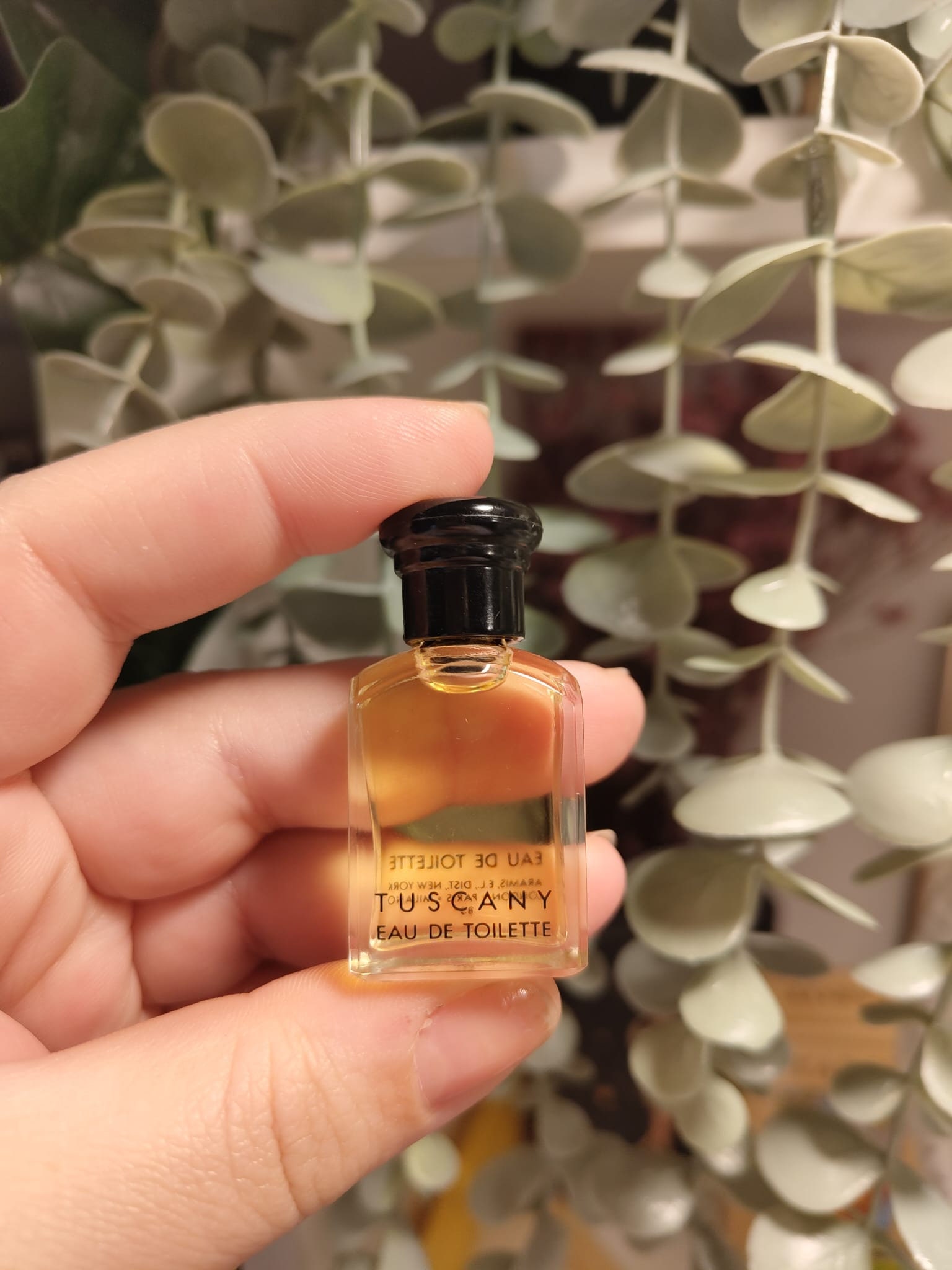 エスティローダー TUSCANY タスカニー オードパルファム 50ml 香水 エスティローダー ESTEE LAUDER タスカニー ペル ドンナ EDP-SP