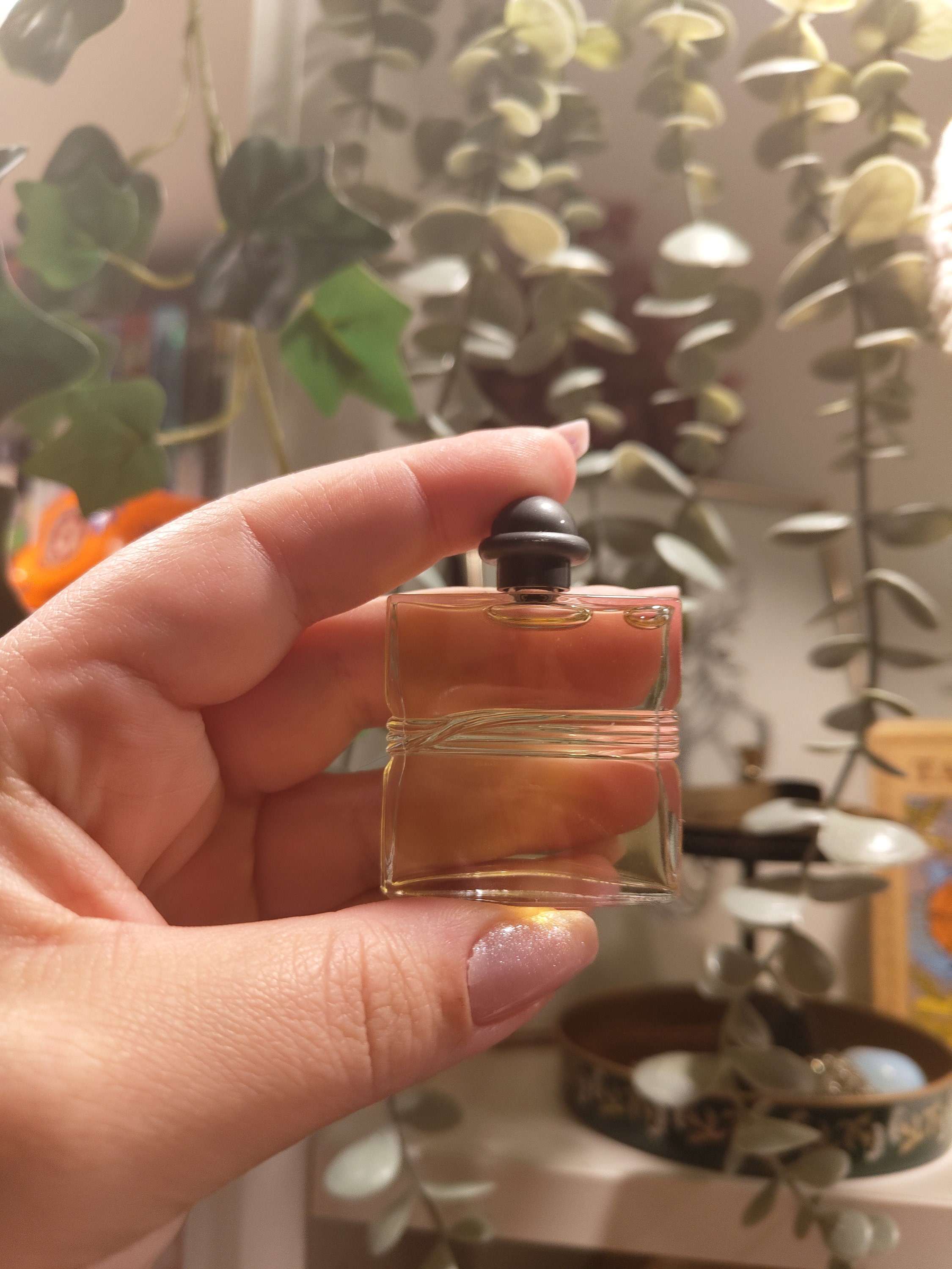 Rocabar Hermes - Etsy