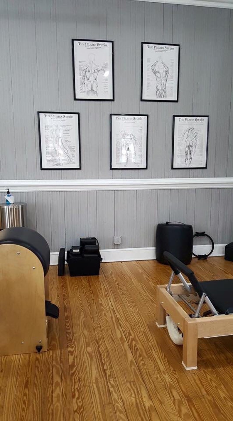 May include: A Pilates studio with a wooden floor, a reformer, and five framed anatomical charts on the wall. The charts are labeled "The Pilates Studio" and show the muscles of the human body.
