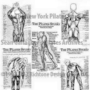 Conjunto de pôsteres de anatomia do Pilates