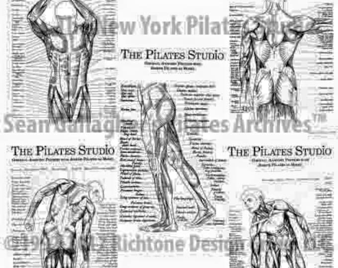 Pilates Anatomy Poster Set Etsy
