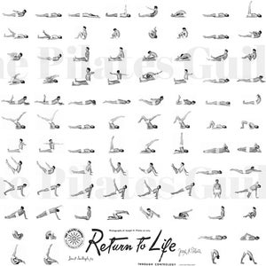Pilates Return to Life Poster image 1