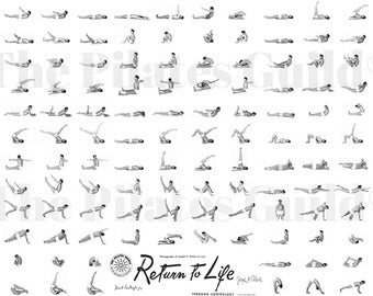 Pilates Back to Life Poster